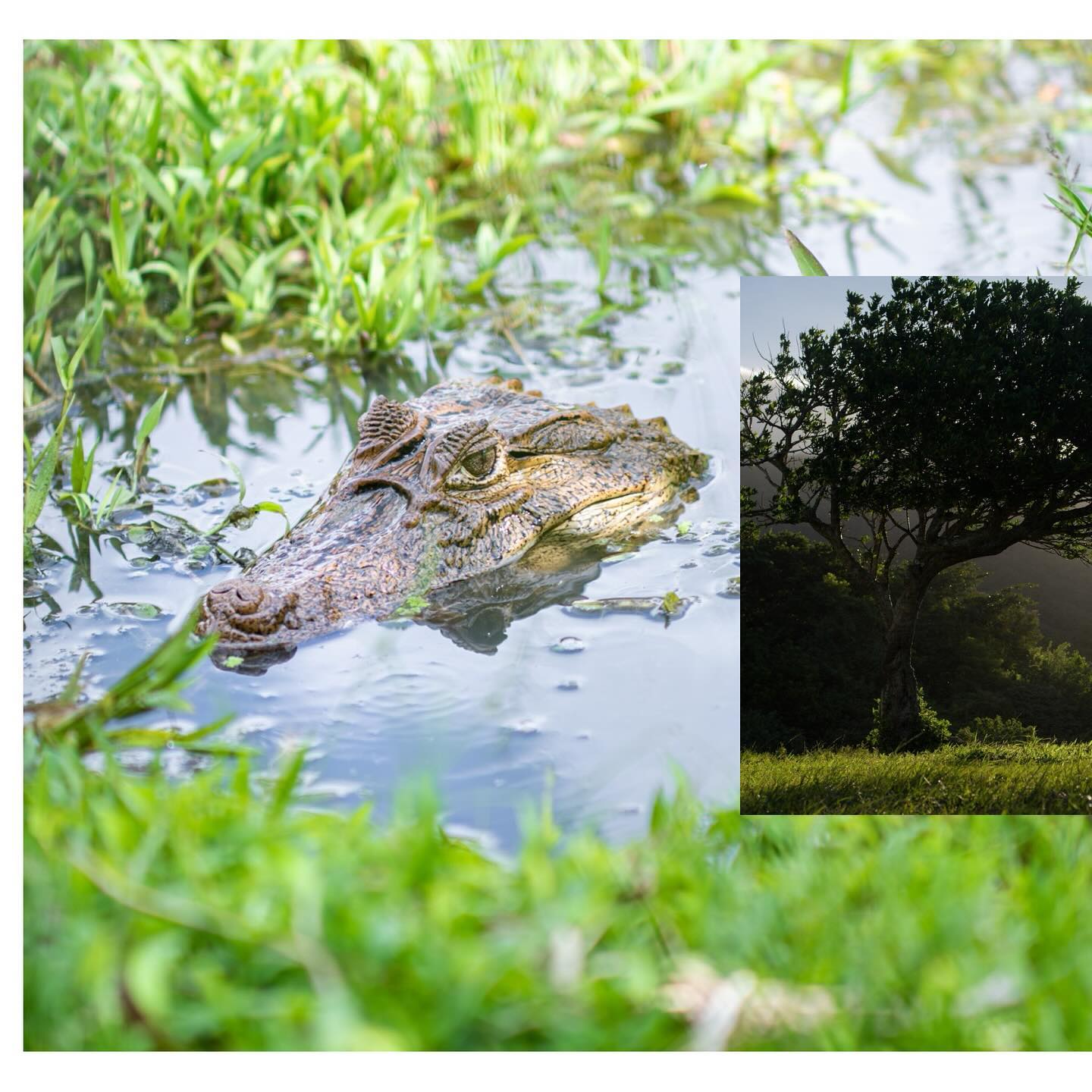 Gallery image by Brian Wcislo